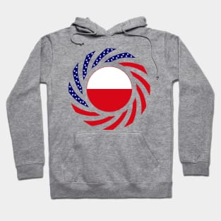 Polish American Multinational Patriot Flag Hoodie